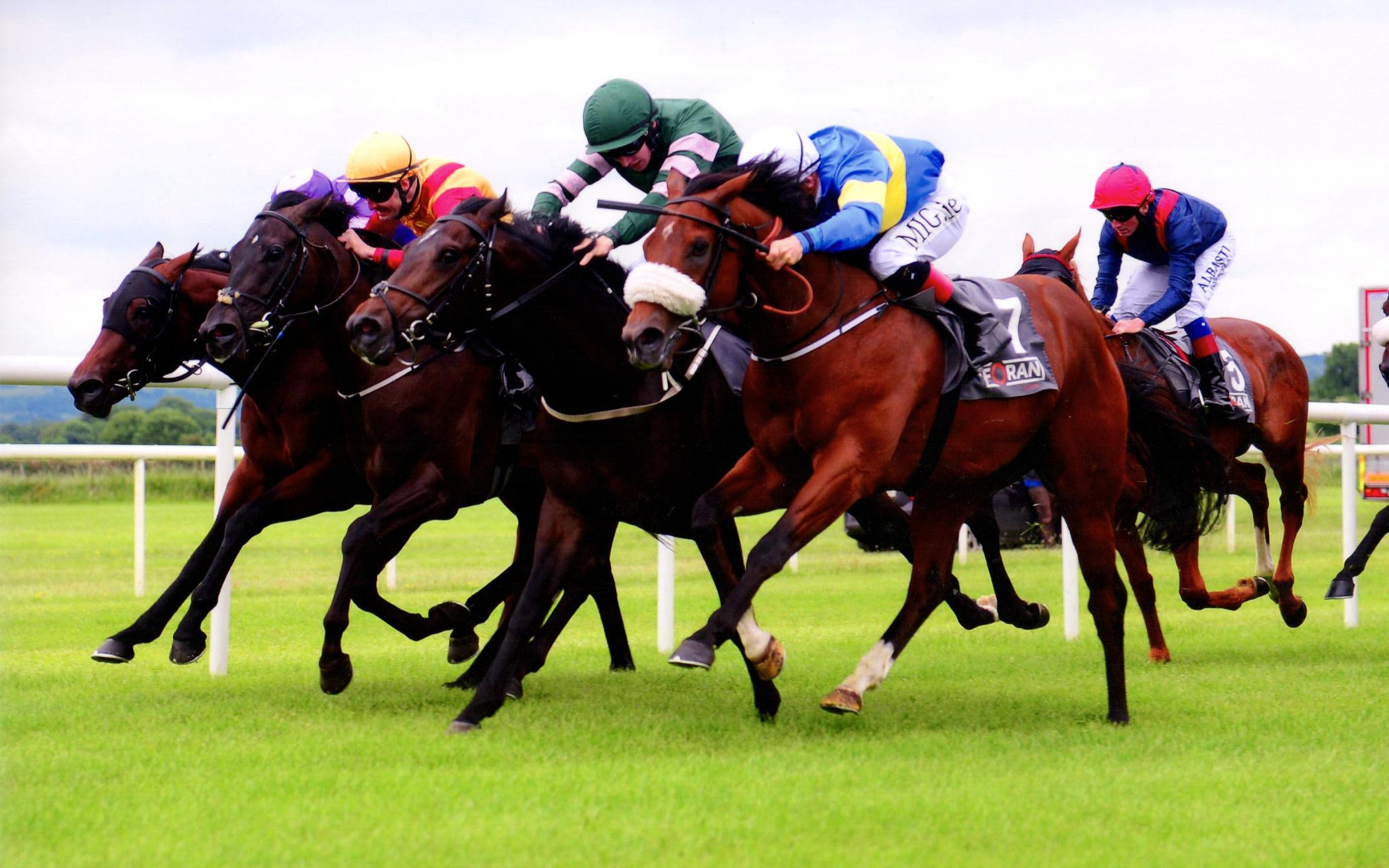 KESTREL PRINCE delivers by just a nose in the Foran Equine Irish EBF Maiden - Roscommon, 11th 2018